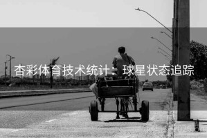 杏彩体育技术统计：球星状态追踪