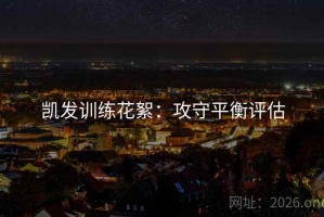 凯发训练花絮：攻守平衡评估