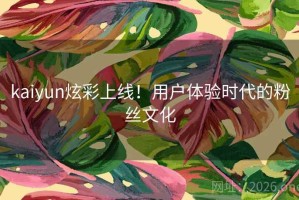 kaiyun炫彩上线！用户体验时代的粉丝文化