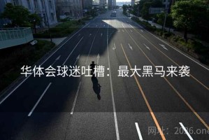 华体会球迷吐槽：最大黑马来袭