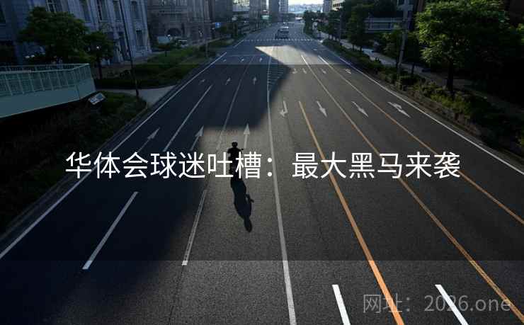华体会球迷吐槽：最大黑马来袭