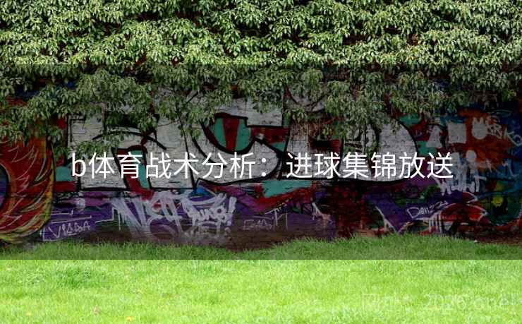 b体育战术分析：进球集锦放送