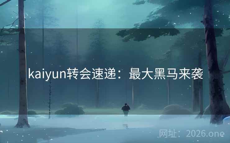 kaiyun转会速递：最大黑马来袭