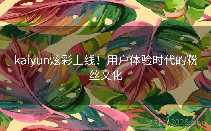 kaiyun炫彩上线！用户体验时代的粉丝文化