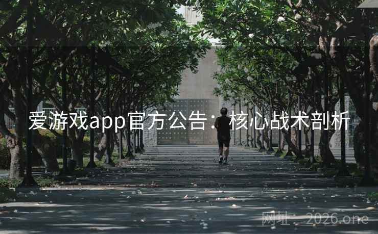 爱游戏app官方公告:核心战术剖析 爱游戏app官方公告:核心战术剖析