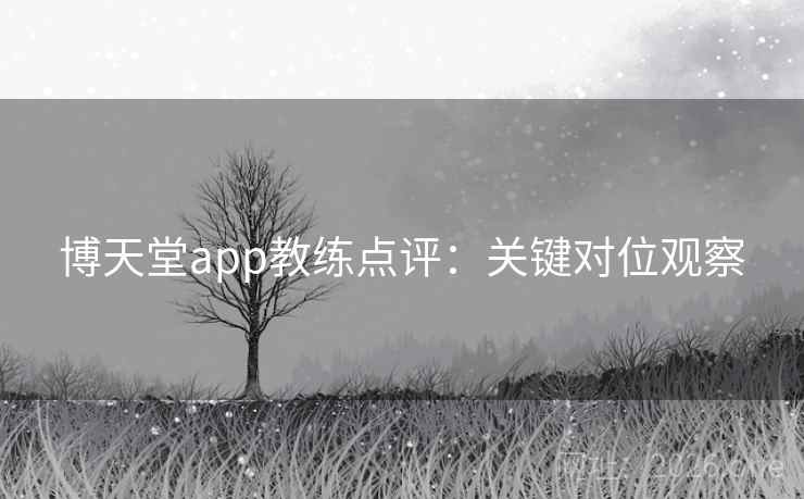 博天堂app教练点评：关键对位观察